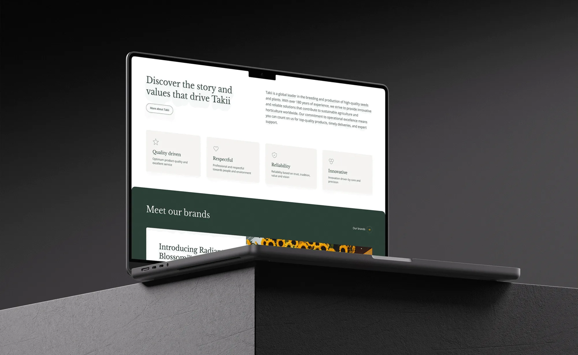 Takii website mockup